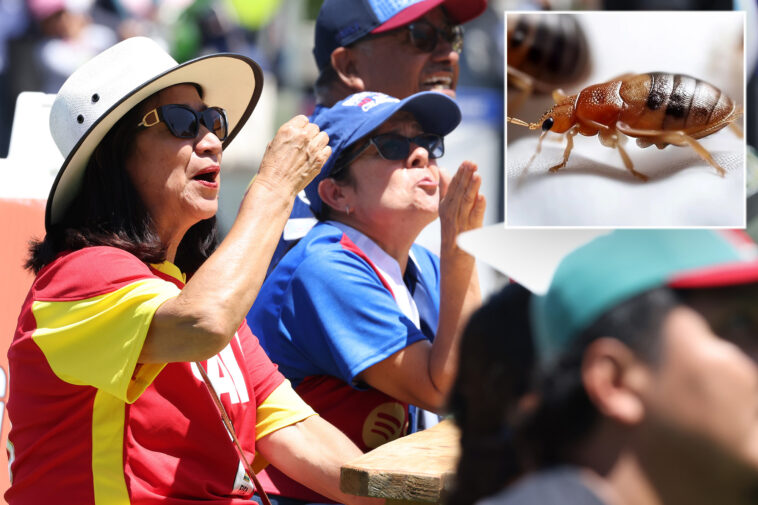 fifa-world-cup-parties-at-macarthur-park-hit-by-bed-bug-concerns