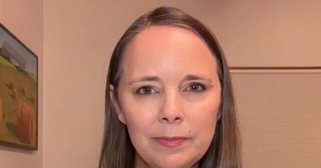 maine-sos,-dem-sen.-candidate:-need-to-keep-platner’s-movement-to-beat-collins-so-we-can-‘abolish-ice’