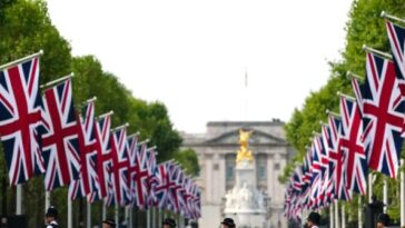london-police-accused-of-letting-algerian-attempted-rapist-walk-free-after-being-caught-‘red-handed’-near-buckingham-palace