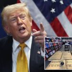 trump-torches-‘stupid,’-‘communist’-dems,-‘ignorant’-media-—-after-he-subpoenas-ny-times