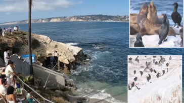 socal-coastal-attraction-sparks-controversy-with-plans-to-fix-unbearable-stench