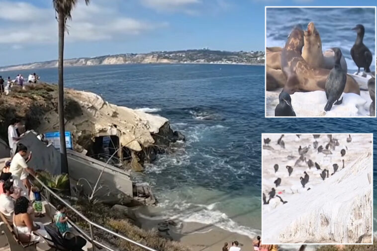 socal-coastal-attraction-sparks-controversy-with-plans-to-fix-unbearable-stench