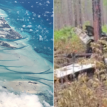 beloved-musicians-among-victims-in-deadly-bahamas-plane-crash;-aviation-authority-grounds-flights