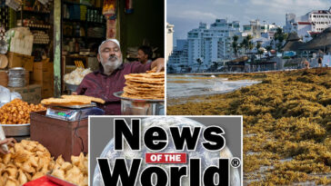 news-of-the-world:-what-you-missed-this-week-internationally