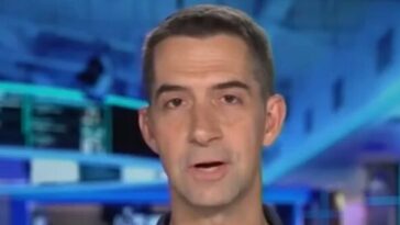 cotton:-china-views-democratic-socialists-of-america-as-‘ideological-fellow-travelers’