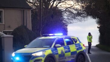 boyfriend-of-killed-american-mother-in-ireland-was-a-failed-asylum-seeker-from-jordan:-report