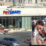 petsmart-to-close-only-outpost-in-san-francisco
