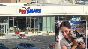 petsmart-to-close-only-outpost-in-san-francisco