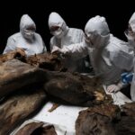 always-trust-the-science?-researchers-learn-their-woolly-mammoth-backbone-actually-belonged-to-whale