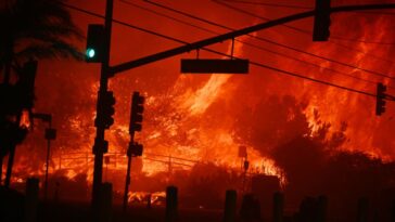 trial-of-man-accused-of-lighting-infamous-los-angeles-palisades-fire-ends-inconclusively