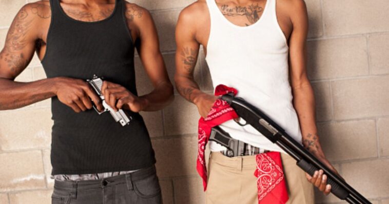 some-somali-kids-allegedly-spent-their-july-4-weekend-shooting-people
