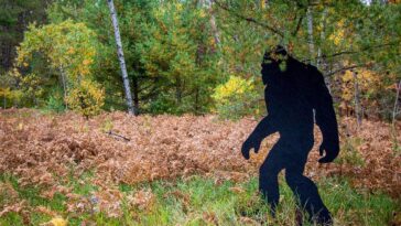 dad-and-his-kids-think-they’ve-captured-bigfoot-on-video-after-spotting-something-in-the-woods