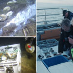 ‘spectacular’-shipwreck-found-in-norwegian-waters-with-time-capsule-of-untouched-cargo