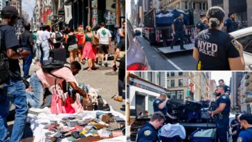 nypd-raids-illegal-nyc-vendors-again-—-but-canal-street-businesses-say-it-won’t-change-a-thing