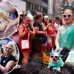 ohh-la-la!-pups-strut-their-stuff-in-first-ever-bastille-day-dog-parade-in-midtown-nyc
