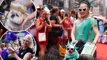 ohh-la-la!-pups-strut-their-stuff-in-first-ever-bastille-day-dog-parade-in-midtown-nyc