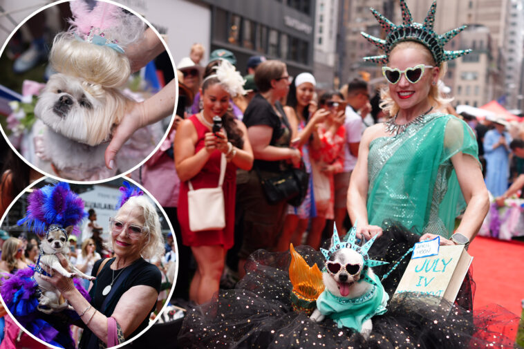 ohh-la-la!-pups-strut-their-stuff-in-first-ever-bastille-day-dog-parade-in-midtown-nyc