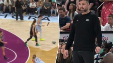 liberty-coach-rips-‘pathetic’-wnba-refs-after-loss,-shoe-throwing-incident:-‘making-stuff-up’