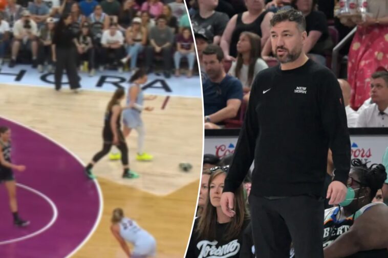liberty-coach-rips-‘pathetic’-wnba-refs-after-loss,-shoe-throwing-incident:-‘making-stuff-up’