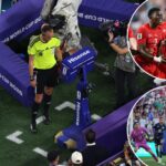 var-has-stolen-the-show-at-world-cup-for-good-and-for-bad