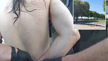 naked-man-tries-to-kidnap-7-year-old-tourist-from-mother-at-portland-park,-bystanders-intervene