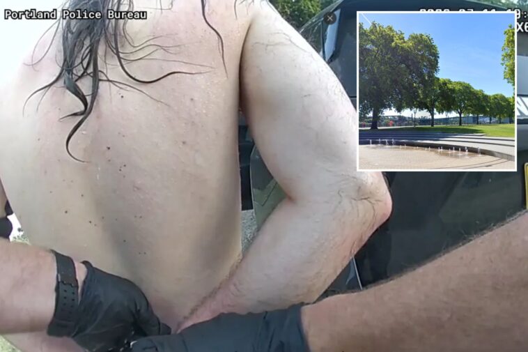 naked-man-tries-to-kidnap-7-year-old-tourist-from-mother-at-portland-park,-bystanders-intervene