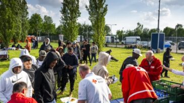 red-cross-flees-from-main-dutch-asylum-centre-as-‘safety-can-no-longer-be-guaranteed’