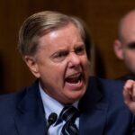 must-watch:-the-time-lindsey-graham-rained-down-fire-on-senate-dems-for-publicly-lynching-brett-kavanaugh