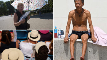 europe-recorded-10,000-excess-deaths-during-june-heatwave