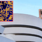 legionnaires’-disease-bacteria-detected-in-manhattan-buildings,-including-iconic-museum