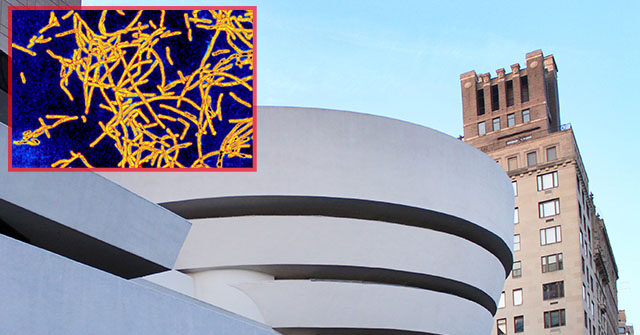 legionnaires’-disease-bacteria-detected-in-manhattan-buildings,-including-iconic-museum