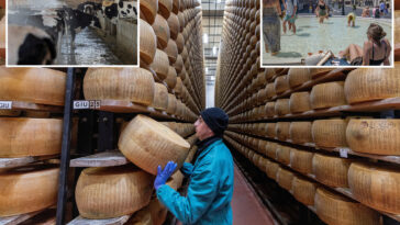 melting-point:-extreme-heat-threatens-italy’s-parmesan-heartland