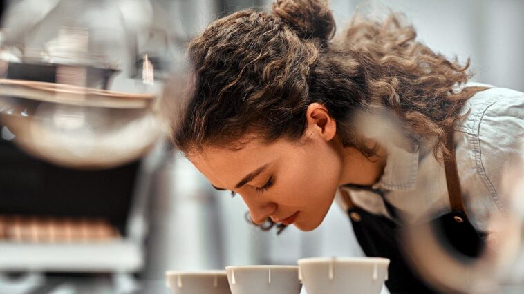 looking-for-better-coffee?-hundreds-of-chefs-and-sommeliers-say-these-are-the-world’s-best
