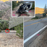driver-somehow-escapes-death-after-plunging-600-feet-off-cliff-—-but-ends-up-in-cuffs-anyway