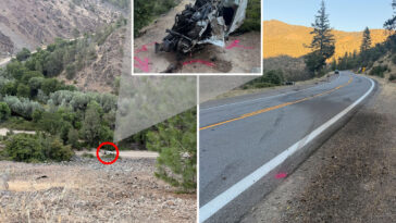 driver-somehow-escapes-death-after-plunging-600-feet-off-cliff-—-but-ends-up-in-cuffs-anyway
