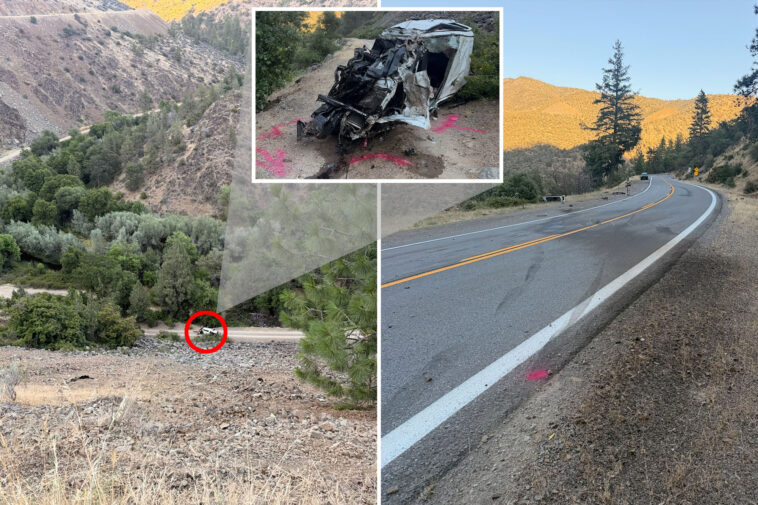 driver-somehow-escapes-death-after-plunging-600-feet-off-cliff-—-but-ends-up-in-cuffs-anyway