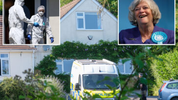 uk-police-rearrest-suspect-in-ann-widdecombe-killing-on-terrorism-suspicion