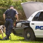 texas-doordash-driver-gets-hit-by-a-car-fleeing-from-police-and-still-delivers-the-order