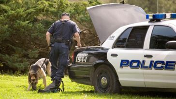 texas-doordash-driver-gets-hit-by-a-car-fleeing-from-police-and-still-delivers-the-order