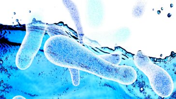 latest-nyc-legionnaires’-disease-outbreak-rises-to-59-cases-—-with-bacteria-now-detected-for-first-time-across-park,-at-posh-uws-building
