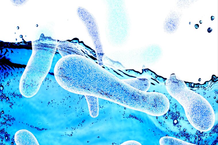 latest-nyc-legionnaires’-disease-outbreak-rises-to-59-cases-—-with-bacteria-now-detected-for-first-time-across-park,-at-posh-uws-building