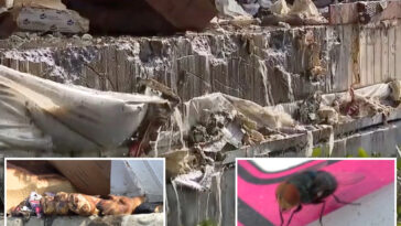 disgusting-update-as-85-million-pounds-of-food-rots-after-boyle-heights-warehouse-fire