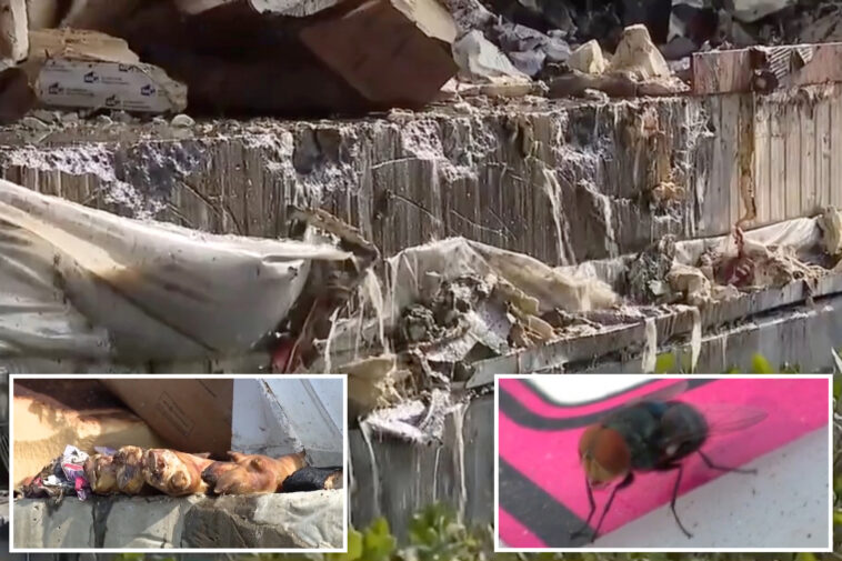 disgusting-update-as-85-million-pounds-of-food-rots-after-boyle-heights-warehouse-fire
