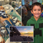horror-as-boy,-6,-is-killed-in-freak-accident-on-washington-beach