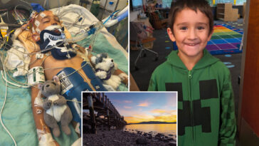 horror-as-boy,-6,-is-killed-in-freak-accident-on-washington-beach