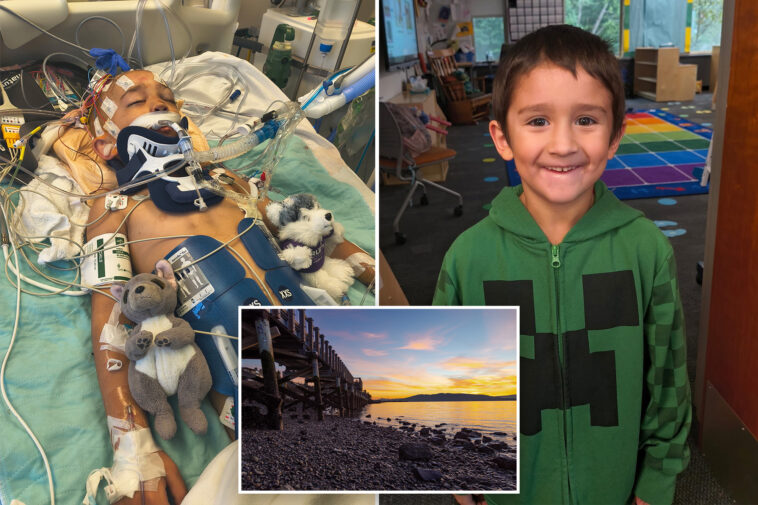 horror-as-boy,-6,-is-killed-in-freak-accident-on-washington-beach