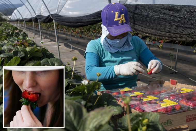 california-fruit-giant-hit-by-shocking-‘highly-toxic’-accusations-and-deception