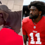 brandon-aiyuk-appears-to-kick-dog-in-head-during-disturbing-video