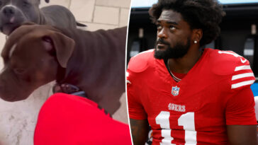 brandon-aiyuk-appears-to-kick-dog-in-head-during-disturbing-video