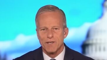 thune:-‘makes-a-lot-of-sense’-for-lindsey-graham’s-sister-to-serve-as-interim-senator